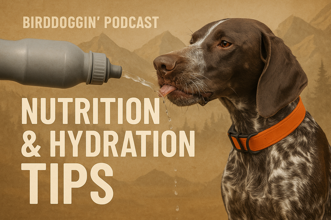 Fueling Your Dog: Nutrition & Hydration | Birddoggin' Podcast S2E2