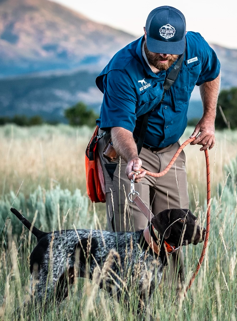 A dog wearing a Leather Training Collar walking calmly on a leash during a heeling training session, guided by a handler using a check cord for communication.