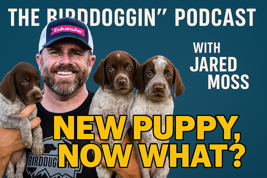 New Puppy, Now What? | Birddoggin' Podcast S2E1