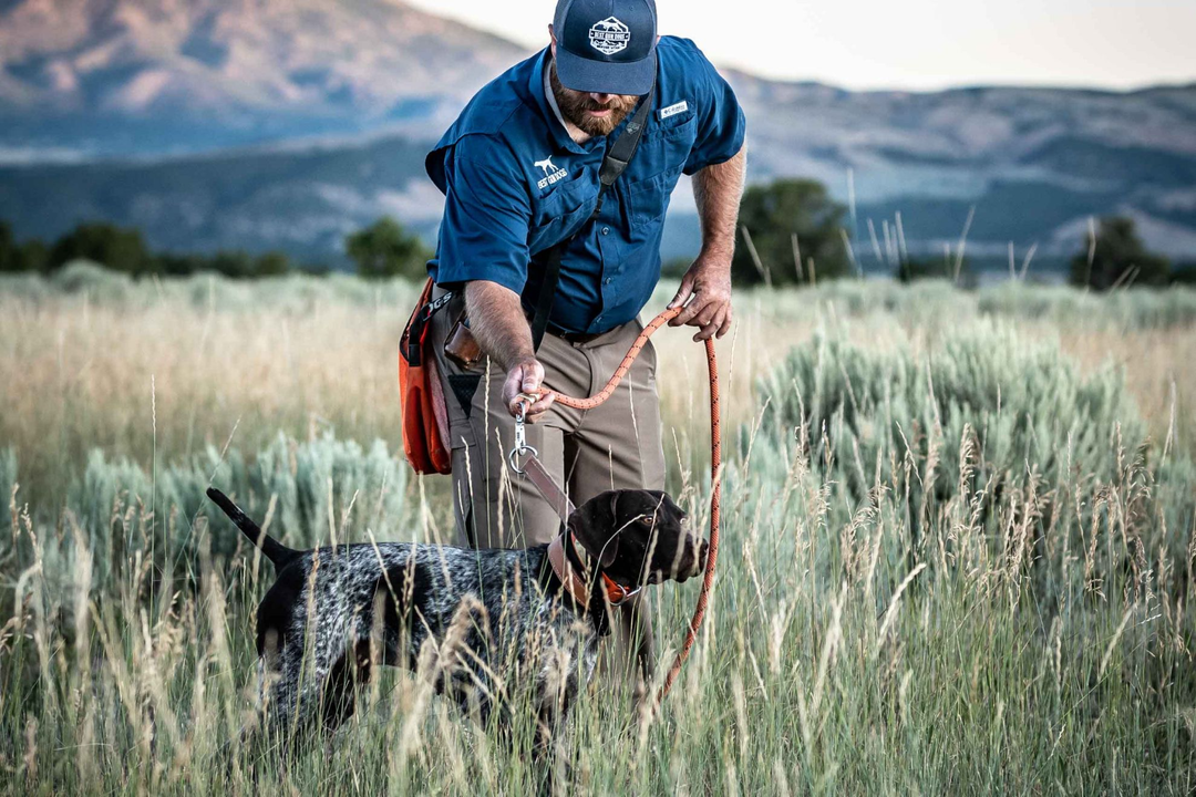 5 Reasons You Should Get A GSP