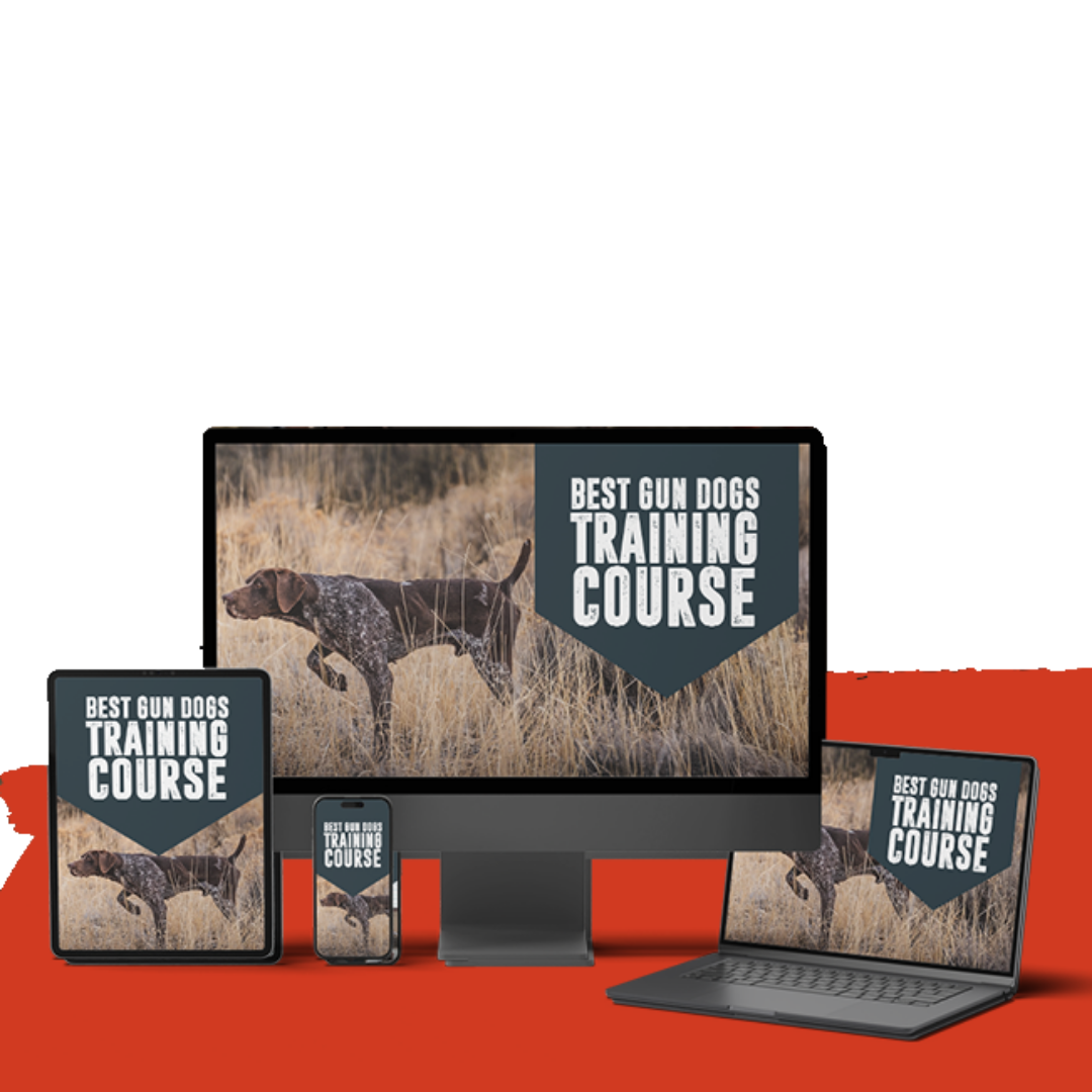 Virtual Training Course Supplies