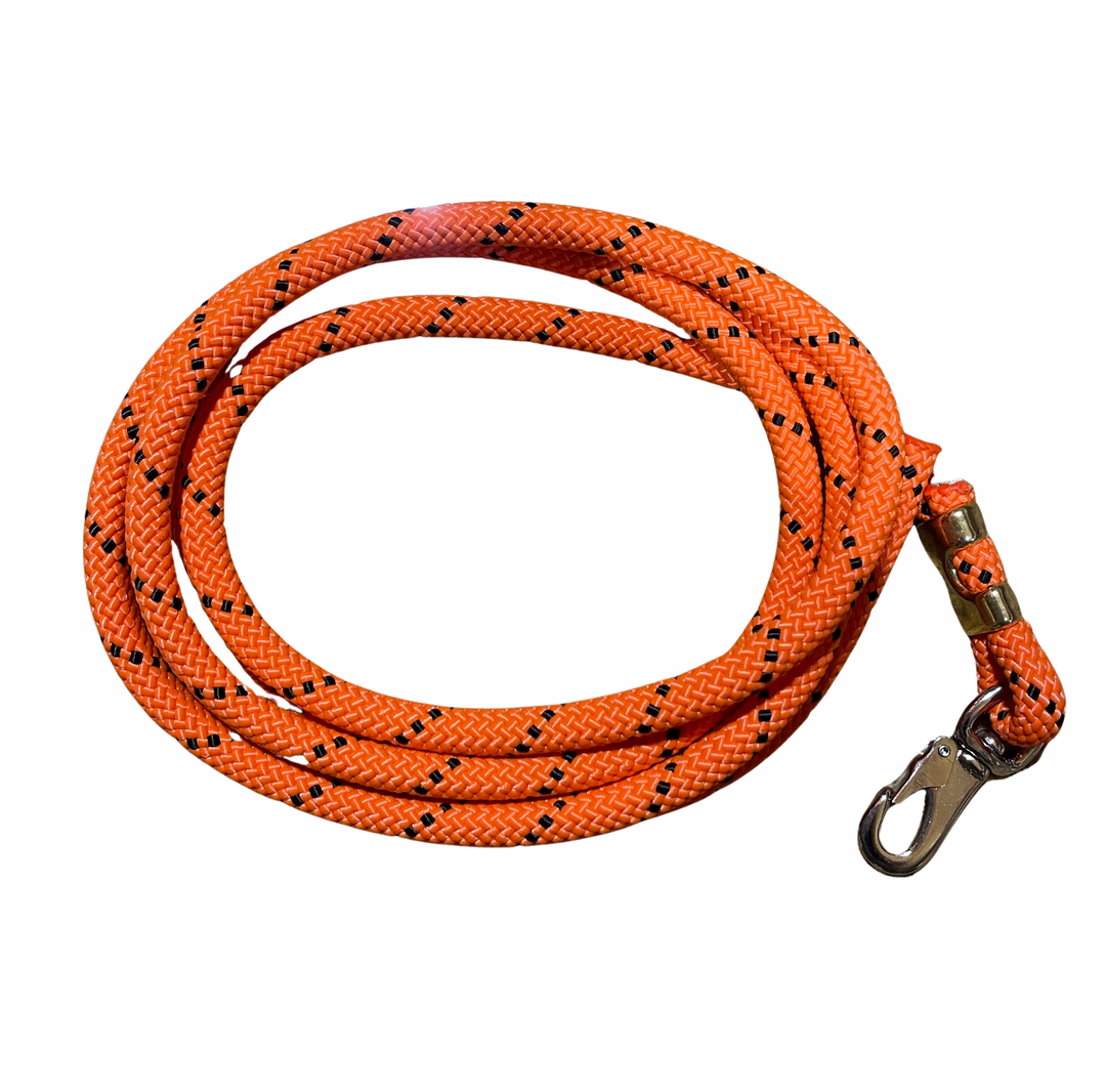 Leather (Leash's, Collars, Cases)
