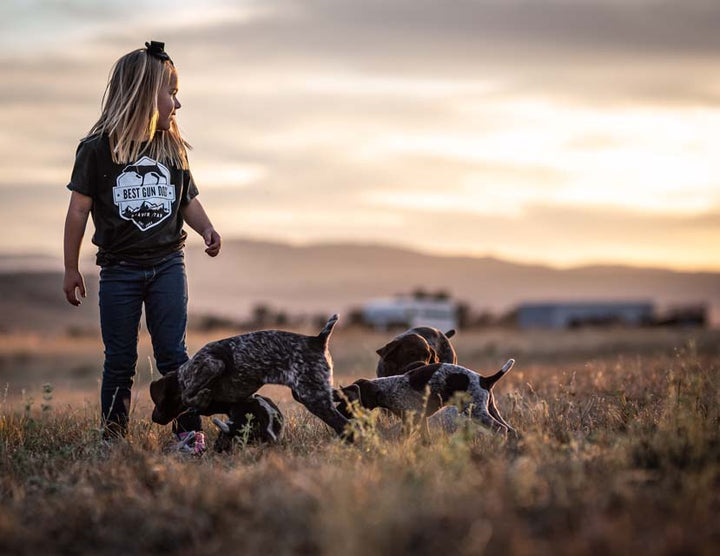 Puppy Deposit showing a child playing outdoors with three hunting puppies in a field at sunset.