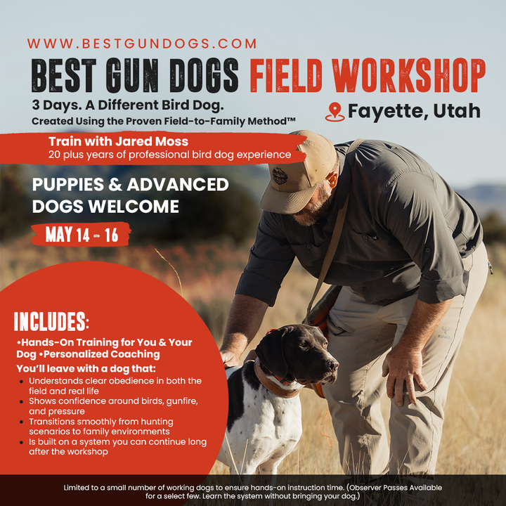 2026 Best Gun Dogs Field Training Workshop Payment
