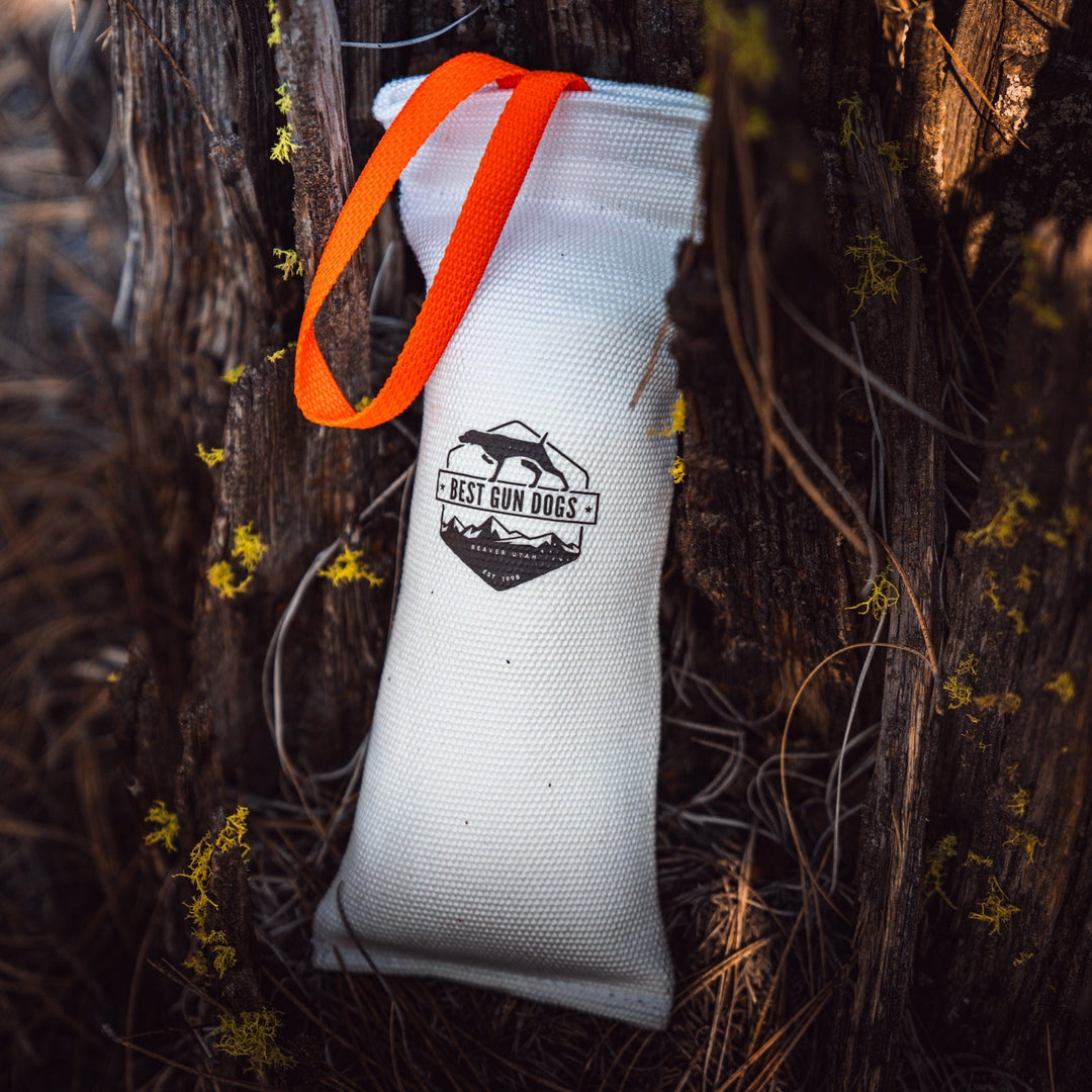 Large - Best Gun Dogs Firehose Training Dummy white durable training aid with orange strap hanging on tree outdoors