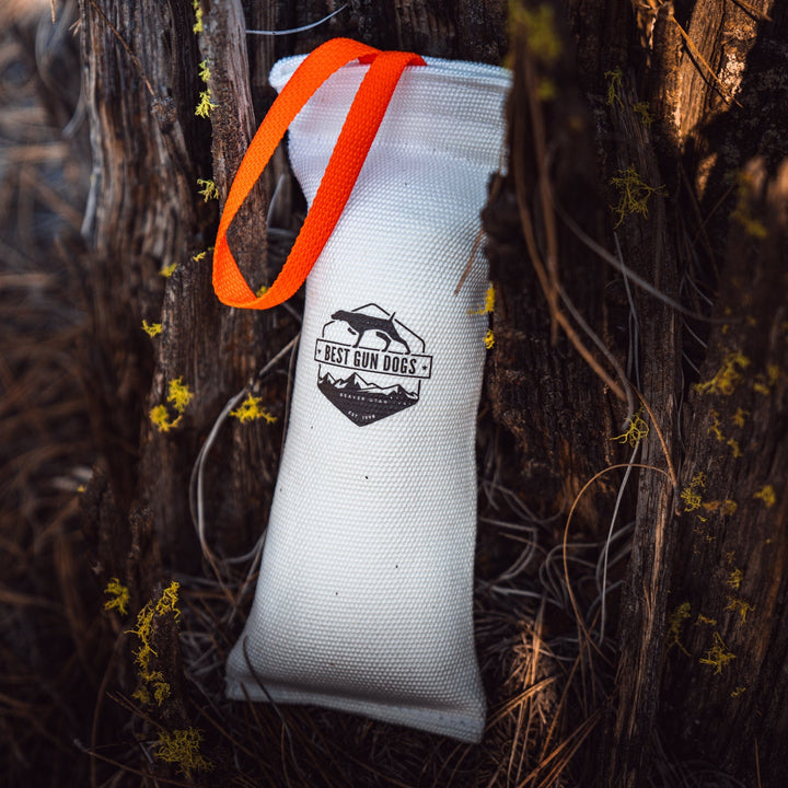 Large - Best Gun Dogs Firehose Training Dummy white durable training aid with orange strap hanging on tree outdoors