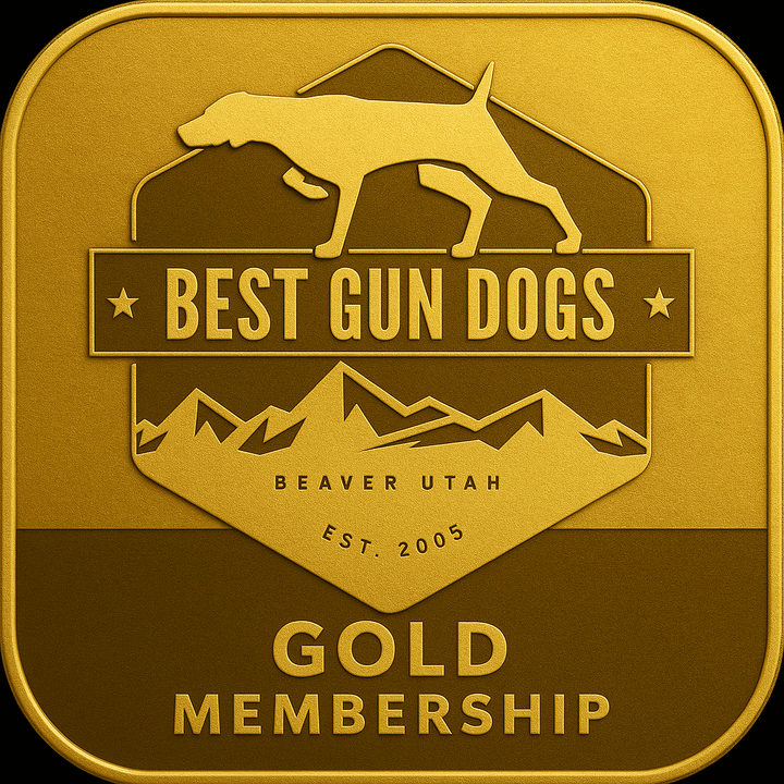 BestGunDogs Virtual Training Membership – Silver & Gold Tiers