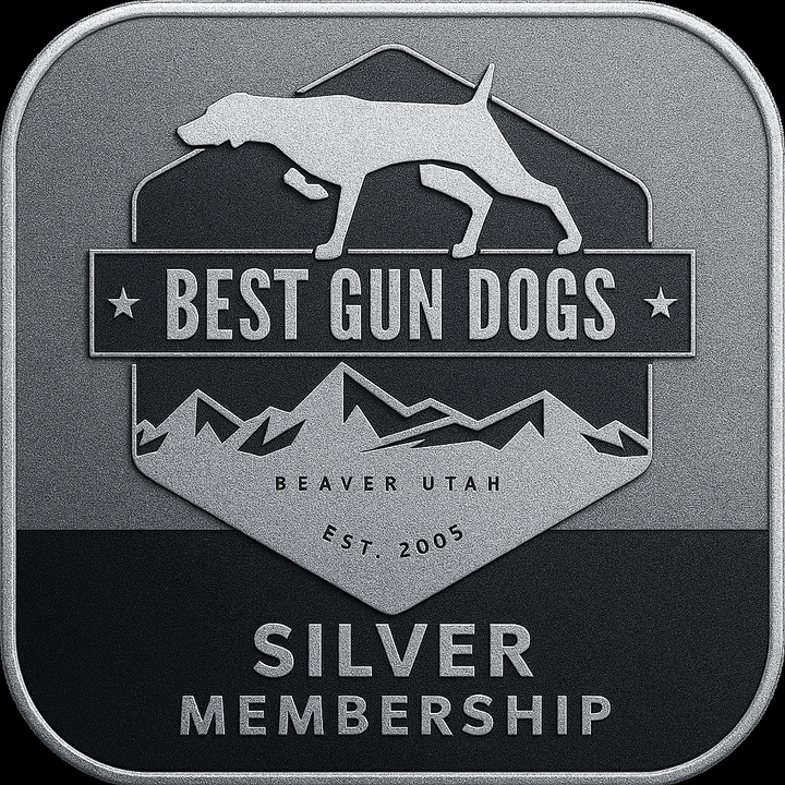 BestGunDogs Virtual Training Membership – Silver & Gold Tiers