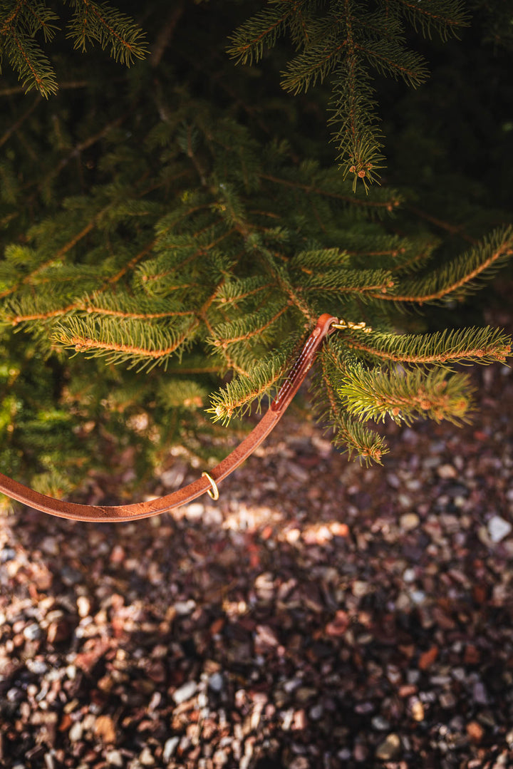 Jaeger Lead used during a German Shorthaired Pointer training session. Ideal for professional bird dog training and upland hunting dogs retrieving game. Perfect gear for puppy training courses demonstration.