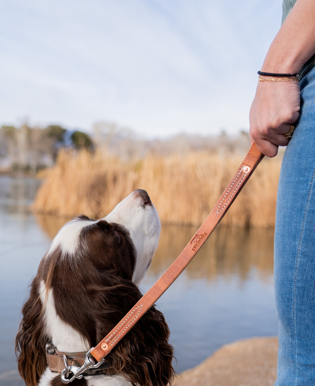 Premium 18" Leather Traffic Lead – Compact & Reliable for Hunting and Training