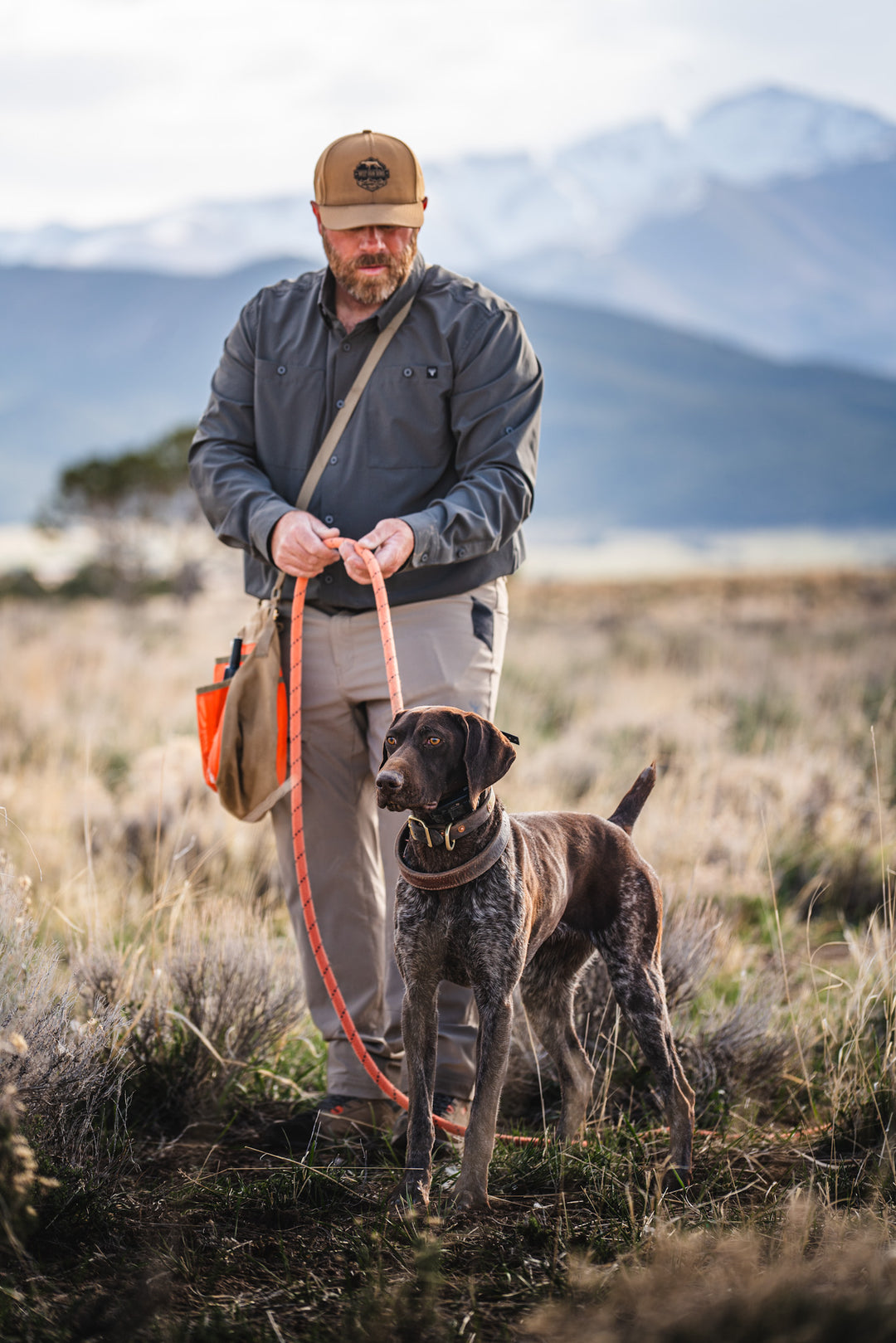 Best Gun Dogs Training Course