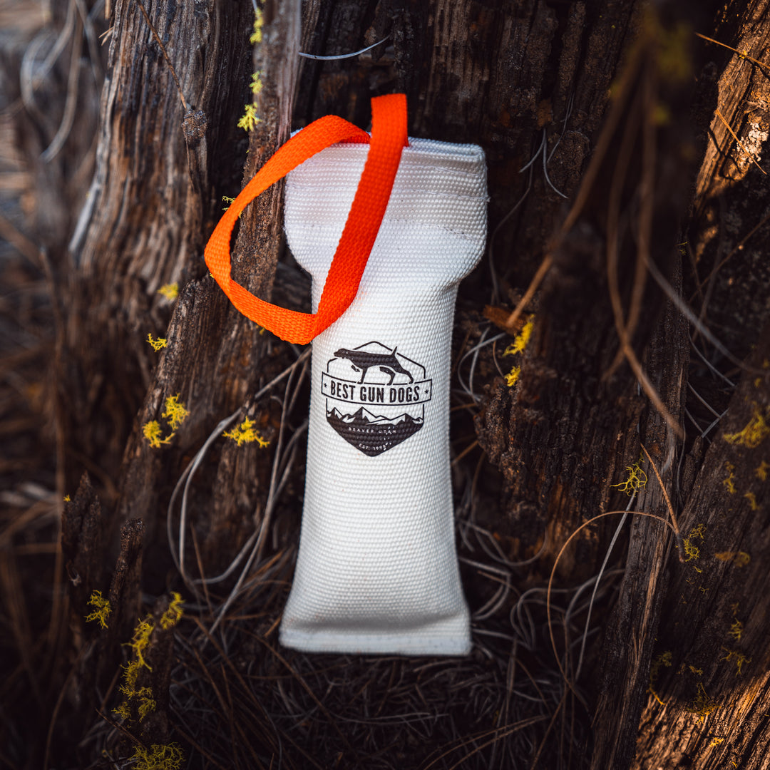 Small - Best Gun Dogs Firehose Training Dummy with orange strap hanging on tree bark in outdoor setting