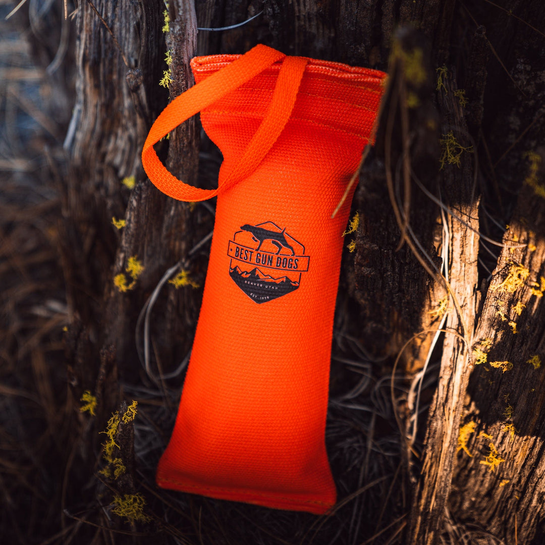 Large - Best Gun Dogs Firehose Training Dummy in bright orange with reinforced seams and throw strap, hanging on tree bark.