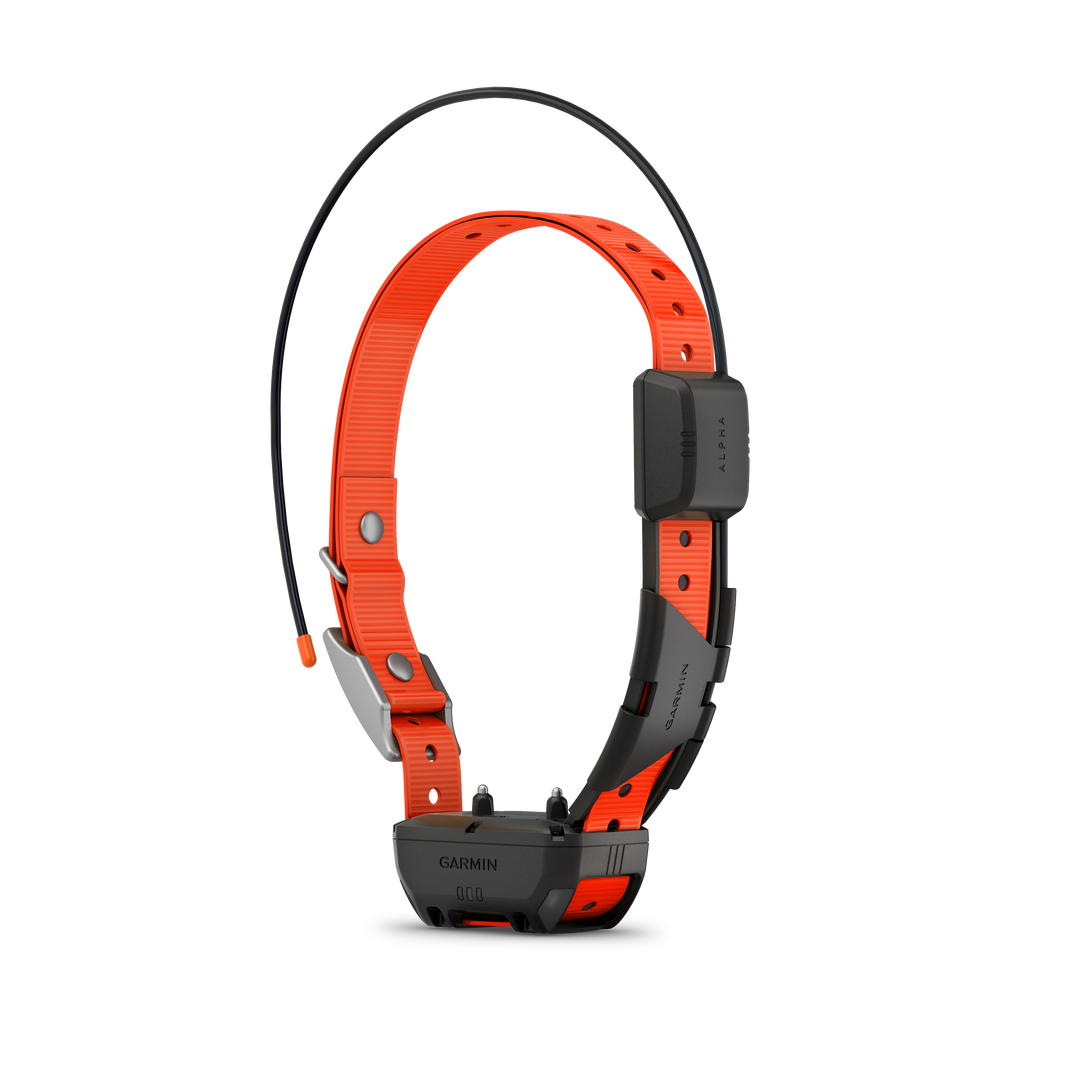Garmin Alpha® TT Dog Collar in orange with GPS tracking, training stim, tone, vibration, and LED beacon features.