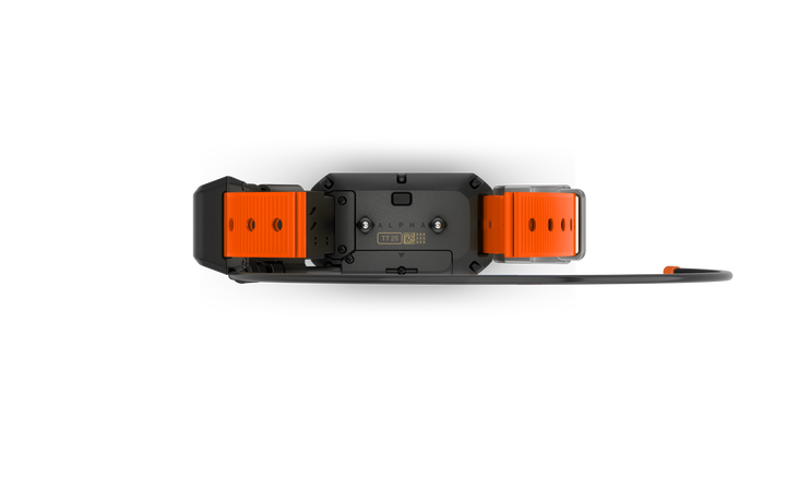 Garmin Alpha® TT Dog Collar with orange strap, GPS tracking, training stim, tone, and vibration features.