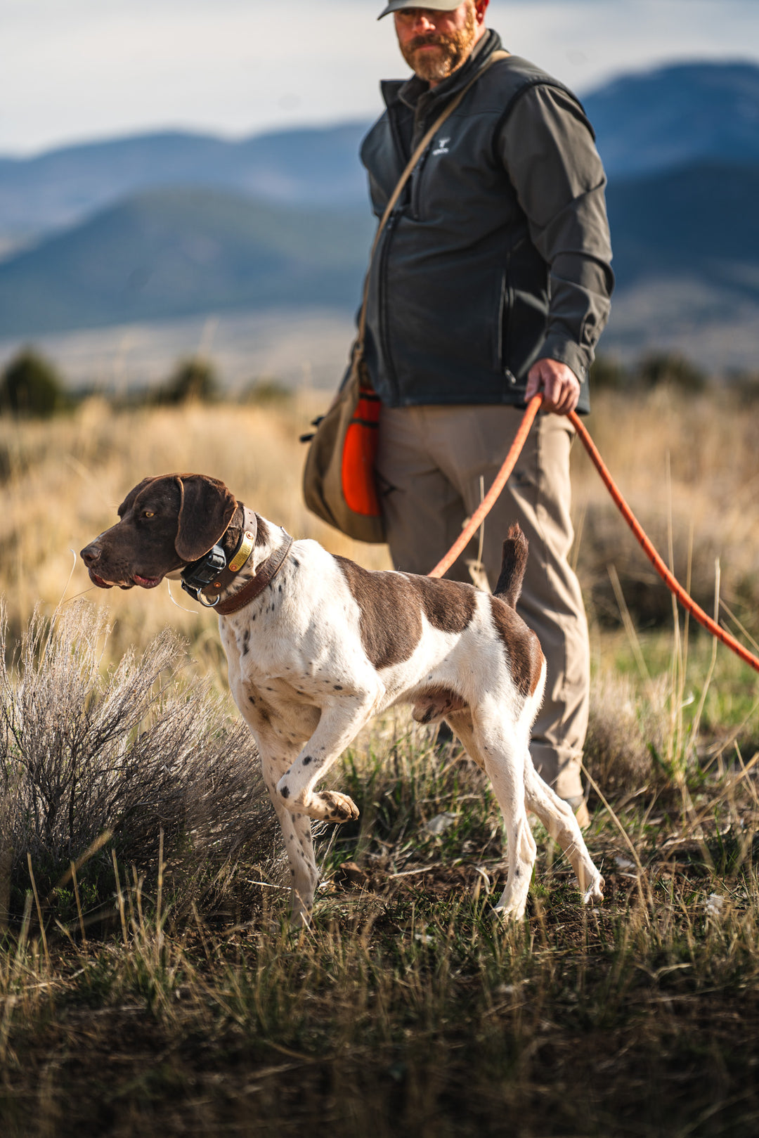 2026 Best Gun Dogs Field Training Workshop Payment