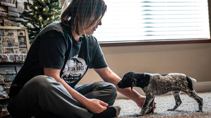 Best Gun Dogs Training Course showing a person training a young hunting dog indoors supporting puppy development.