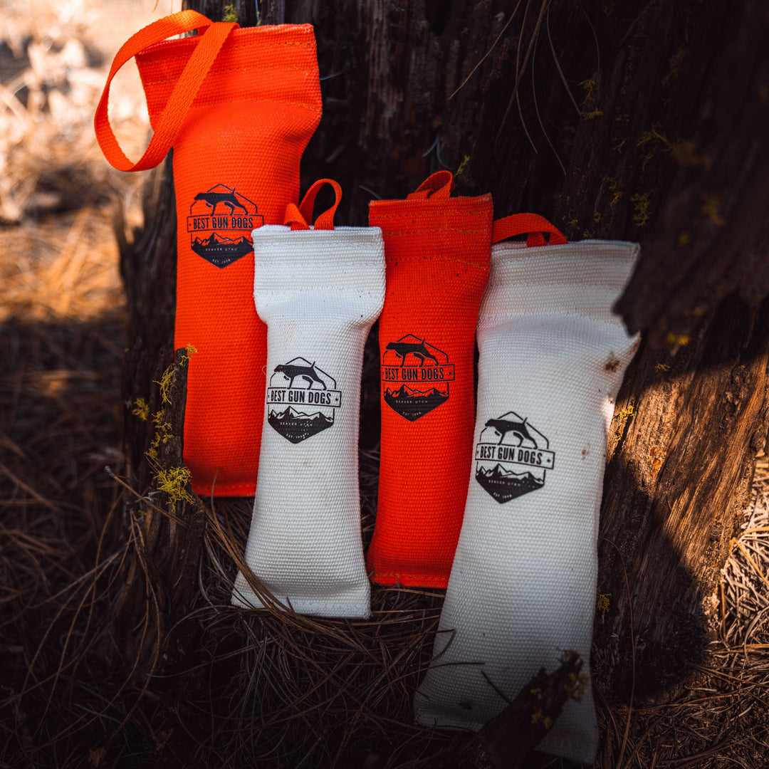 Four Best Gun Dogs Firehose Training Dummy products in white and orange colors leaning against a tree outdoors.