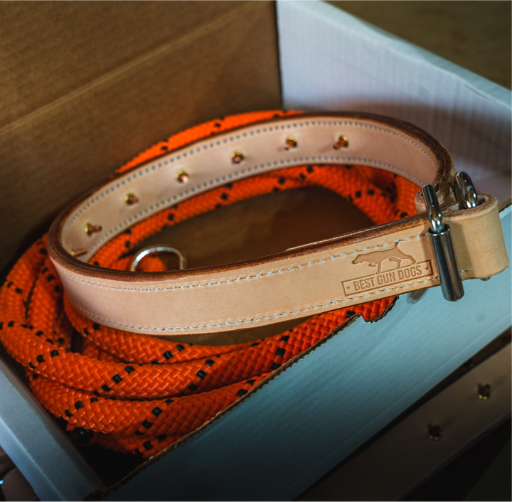Leather Training Collar handcrafted from premium leather with check cord included for durable pet training.