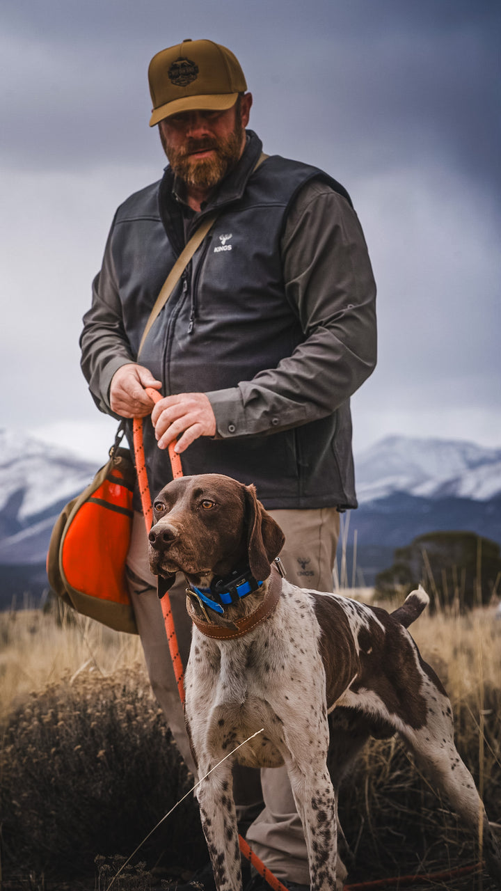 2026 Best Gun Dogs Field Training Workshop Payment