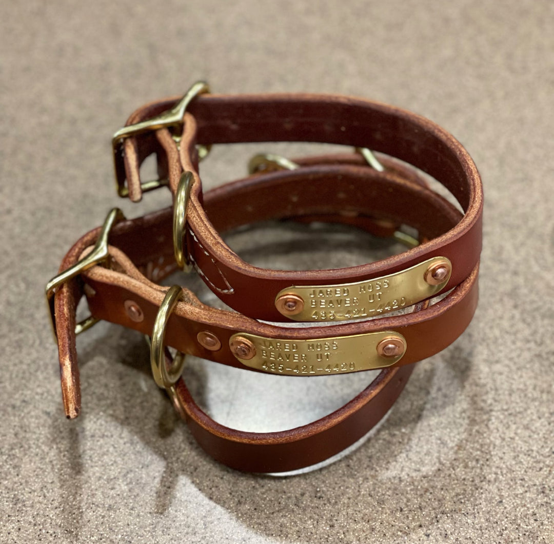 Premium Leather Dog Collar with Custom Name Plate used during a German Shorthaired Pointer training session. Ideal for professional bird dog training and upland hunting dogs retrieving game. Perfect gear for puppy training courses demonstration.