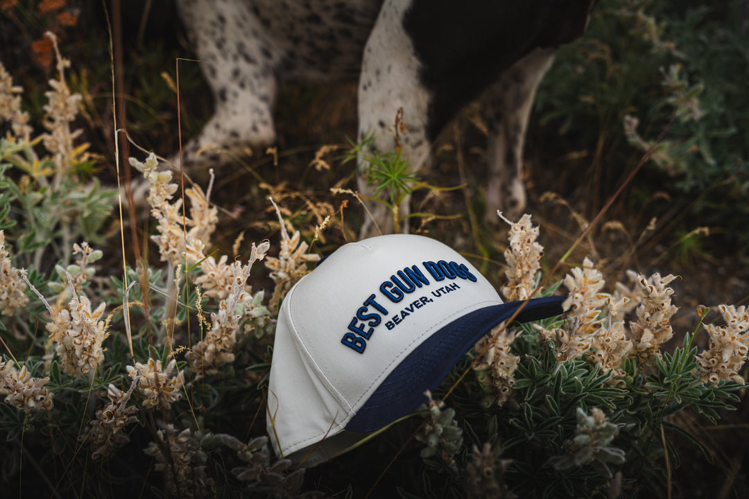 BestGunDogs Arch Hats