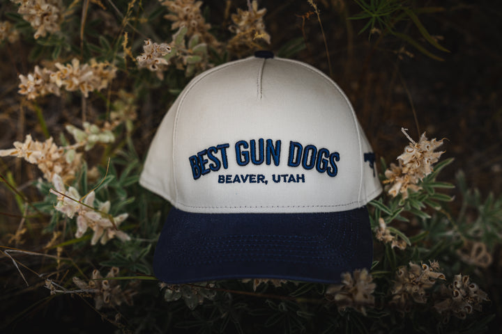 BestGunDogs Arch Hats