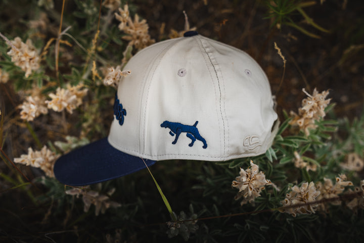 BestGunDogs Arch Hats