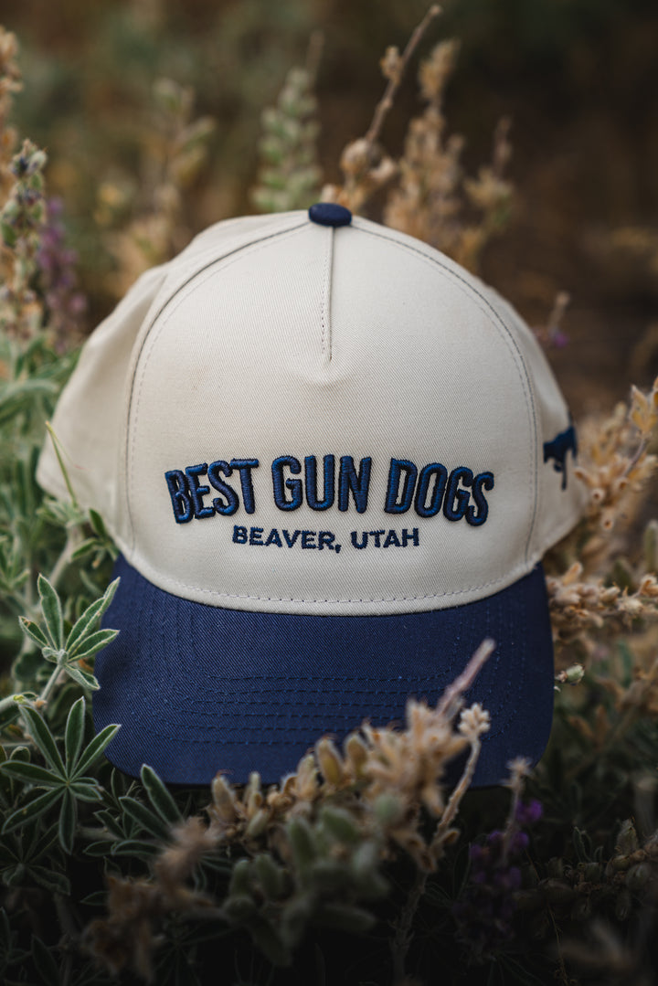 BestGunDogs Arch Hats
