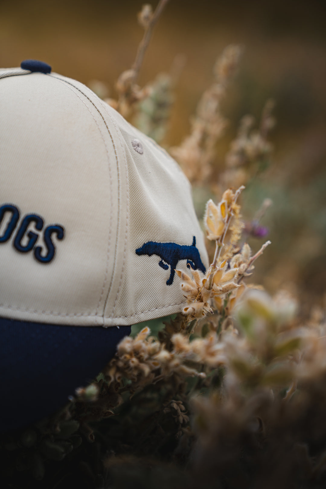 BestGunDogs Arch Hats