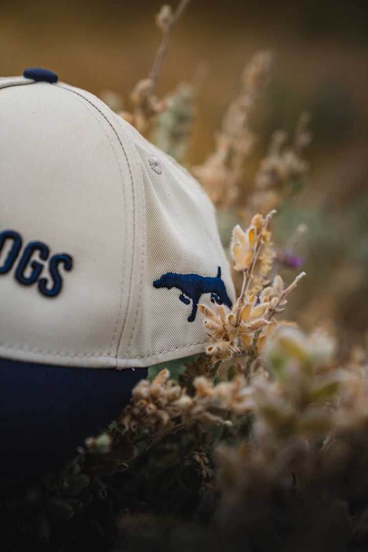 BestGunDogs Arch Hats