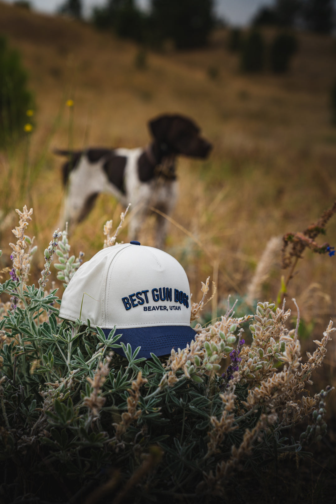 BestGunDogs Arch Hats
