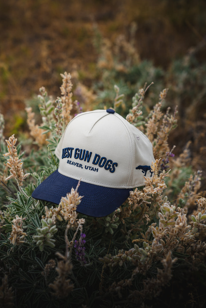 BestGunDogs Arch Hats