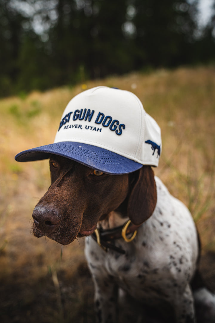 BestGunDogs Arch Hats