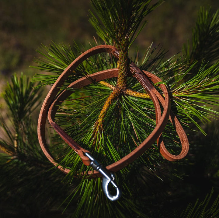 Premium Handcrafted 4' Leather Dog Leash - Durable & Stylish for Outdoor Adventures used during a German Shorthaired Pointer training session. Ideal for professional bird dog training and upland hunting dogs retrieving game. Perfect gear for puppy training courses demonstration.