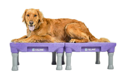 Klimb Dog Training Platform