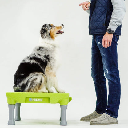 Klimb Dog Training Platform