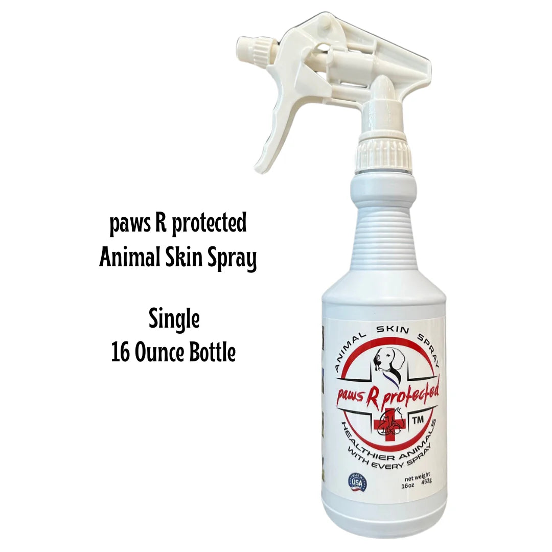 pawsRprotected Animal Skin Spray – All-Natural Skin Care for Pets and Animals used during a German Shorthaired Pointer training session. Ideal for professional bird dog training and upland hunting dogs retrieving game. Perfect gear for puppy training courses demonstration.