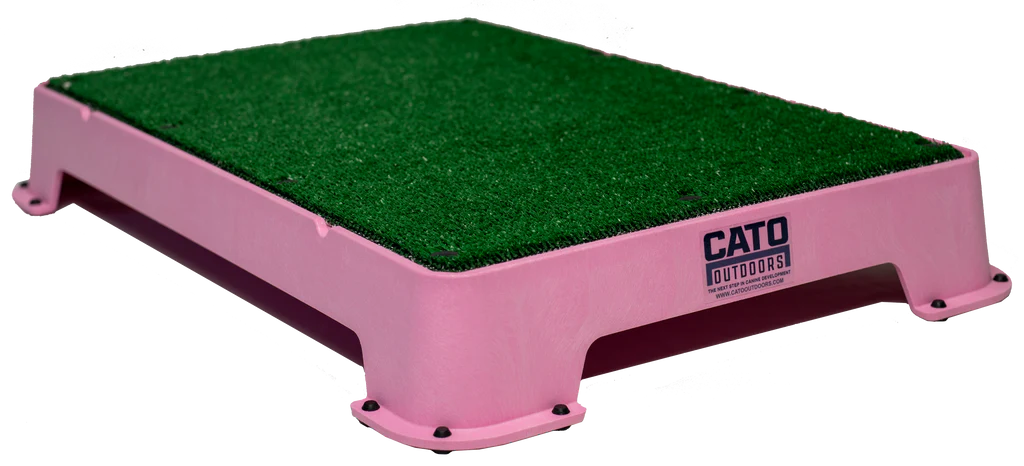 Cato Board Dog Training Platform – The Ultimate Place Board for Dogs Pink Turf used during a German Shorthaired Pointer training session. Ideal for professional bird dog training and upland hunting dogs retrieving game. Perfect gear for puppy training courses demonstration.