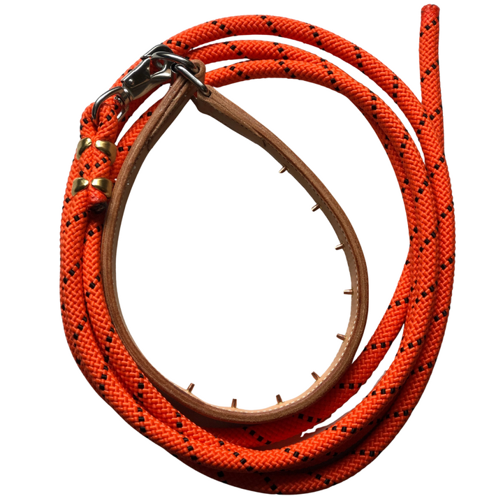 Leather Training Collar