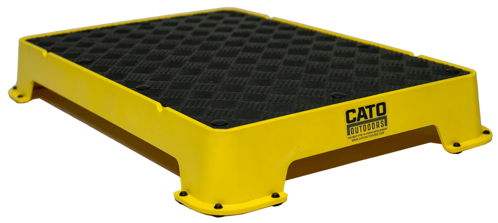 Cato Board Dog Training Platform – The Ultimate Place Board for Dogs used during a German Shorthaired Pointer training session. Ideal for professional bird dog training and upland hunting dogs retrieving game. Perfect gear for puppy training courses demonstration.