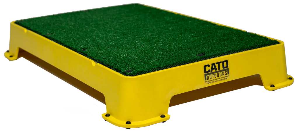 Cato Board Dog Training Platform – The Ultimate Place Board for Dogs used during a German Shorthaired Pointer training session. Ideal for professional bird dog training and upland hunting dogs retrieving game. Perfect gear for puppy training courses demonstration.