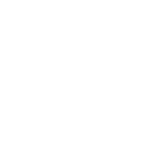 Best Gun Dogs