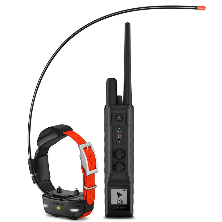 Garmin PRO 550 Plus Bundle: Garmin Pro 550 Plus & TT 15X used during a German Shorthaired Pointer training session. Ideal for professional bird dog training and upland hunting dogs retrieving game. Perfect gear for puppy training courses demonstration.