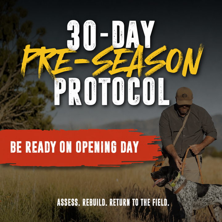 Best Gun Dogs 30-Day Pre-Season Protocol