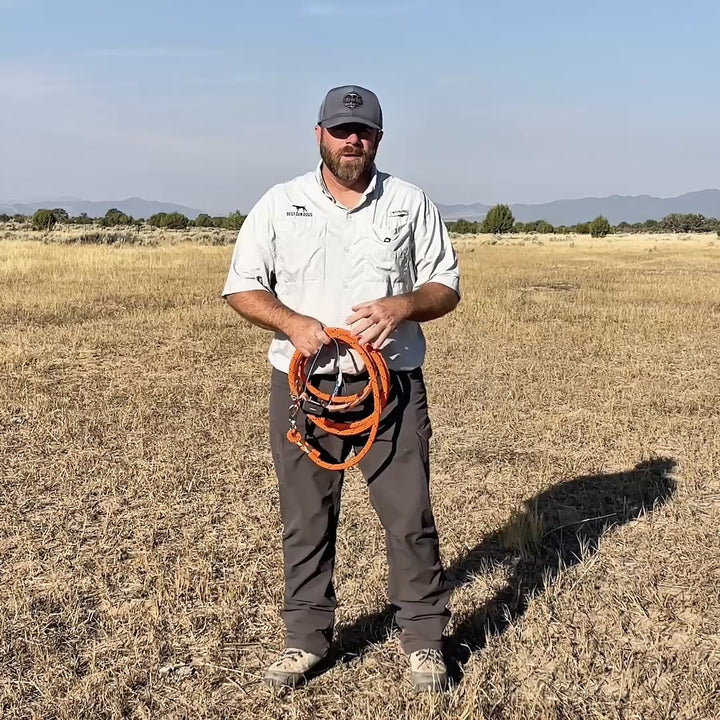 Best Gun Dogs Training Course