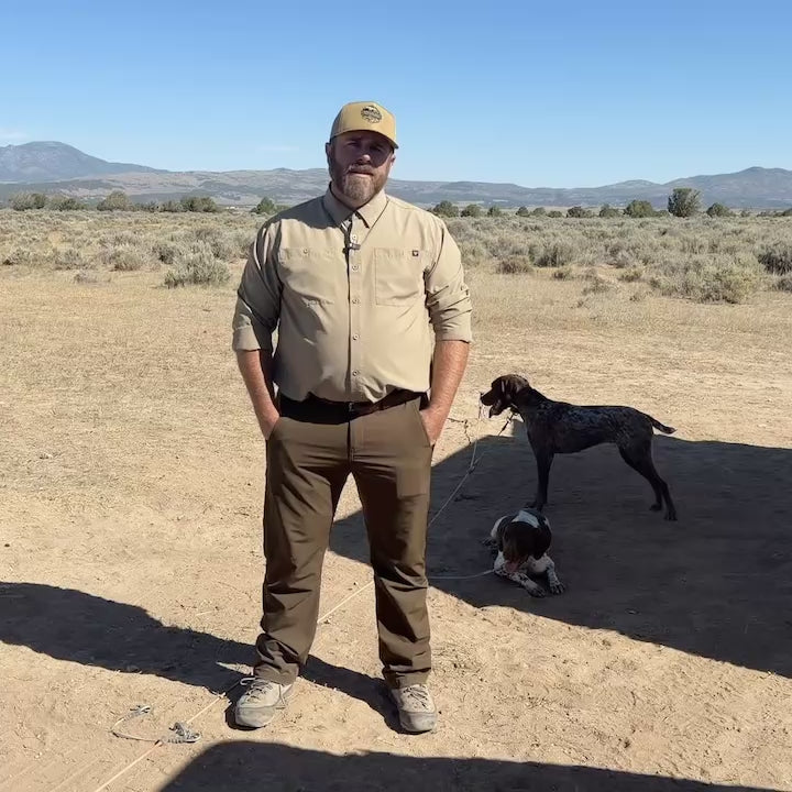 Best Gun Dogs 30-Day Pre-Season Protocol