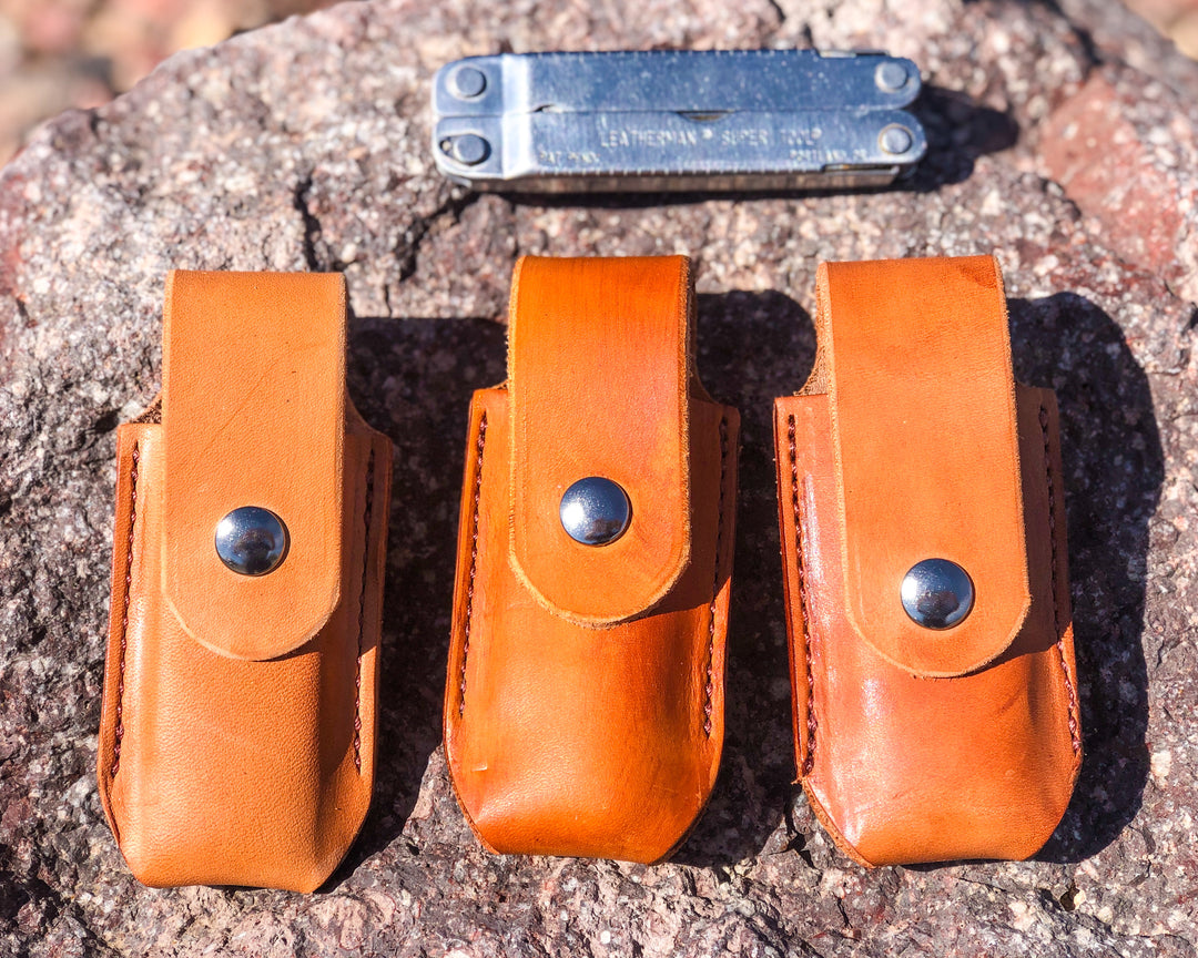 Leatherman Case used during a German Shorthaired Pointer training session. Ideal for professional bird dog training and upland hunting dogs retrieving game. Perfect gear for puppy training courses demonstration.