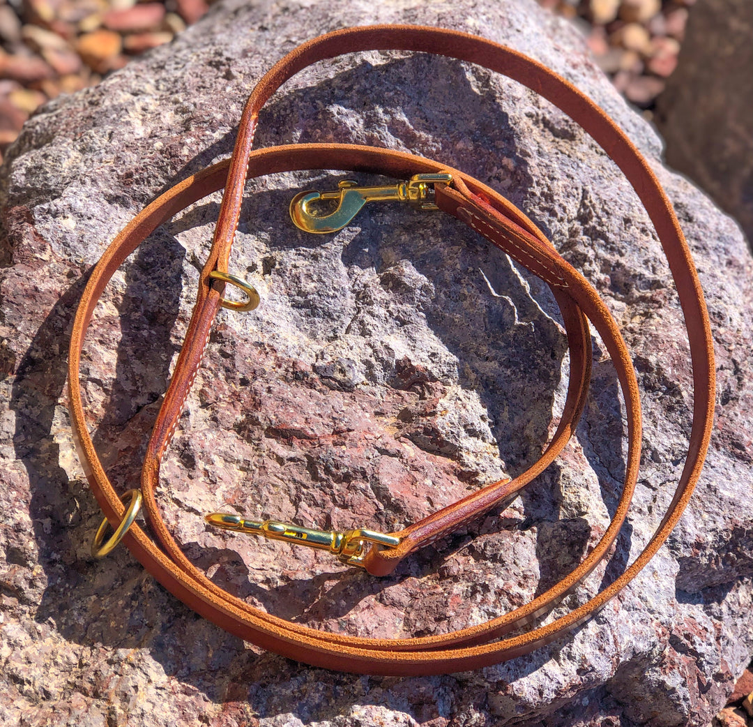 Jaeger Lead used during a German Shorthaired Pointer training session. Ideal for professional bird dog training and upland hunting dogs retrieving game. Perfect gear for puppy training courses demonstration.