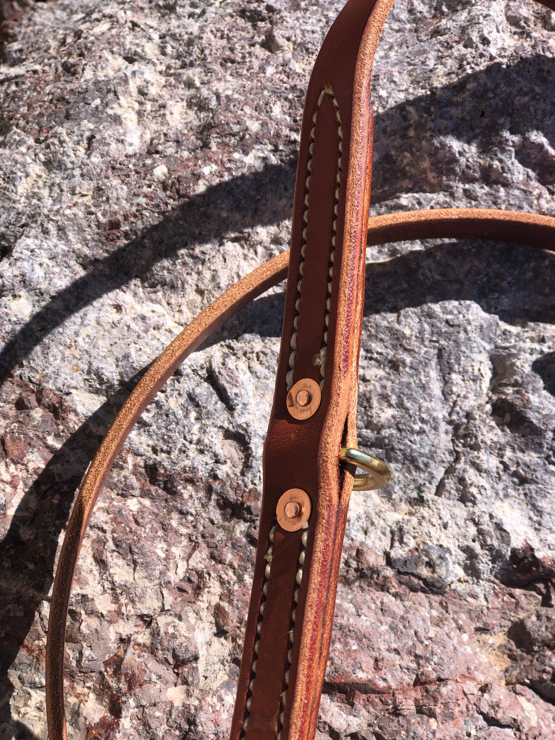 Jaeger Lead used during a German Shorthaired Pointer training session. Ideal for professional bird dog training and upland hunting dogs retrieving game. Perfect gear for puppy training courses demonstration.